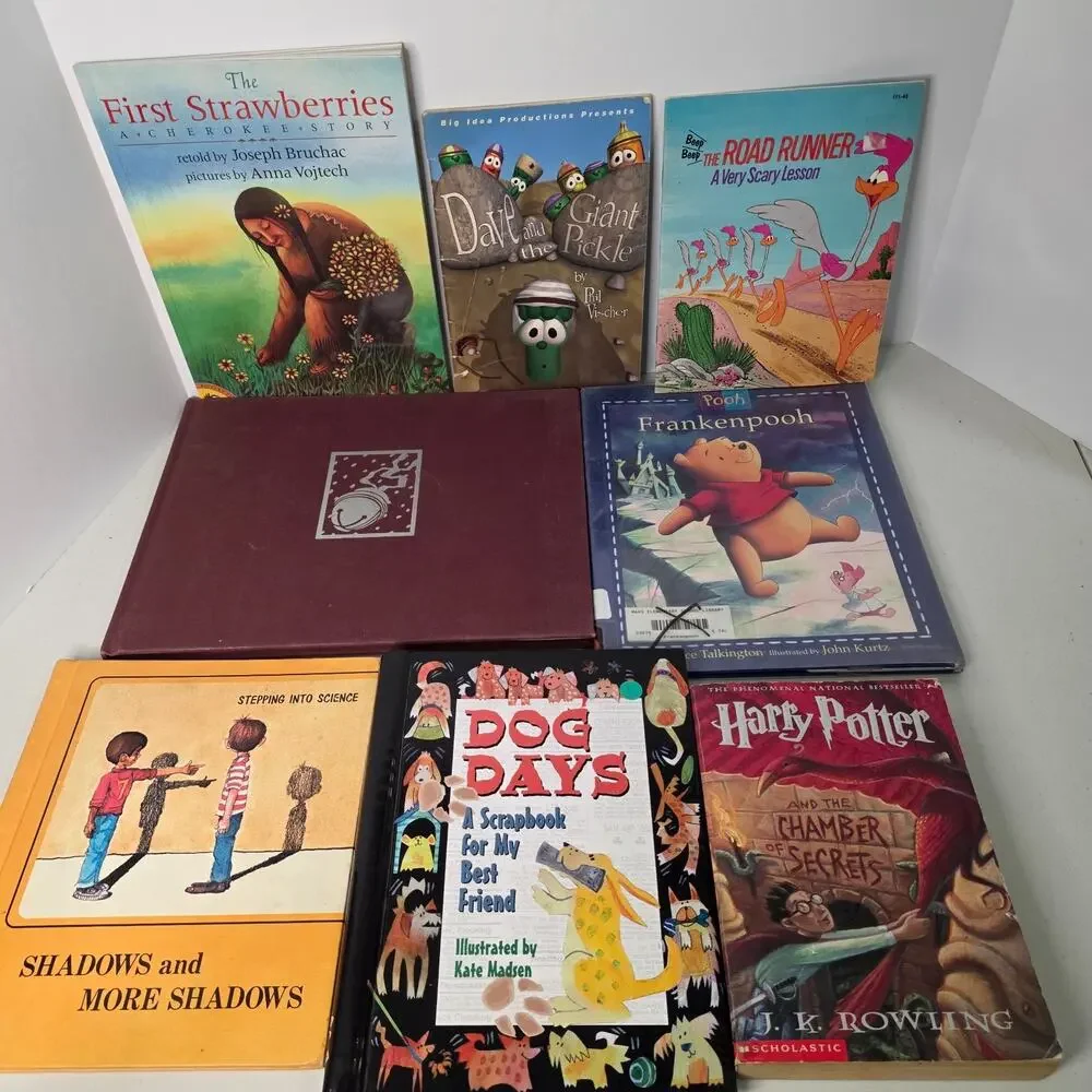 Lot of 8 Kids Books Harry Potter VeggieTales Pooh Polar Express Road Runner